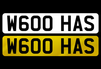 W600 HAS