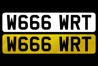 W666 WRT