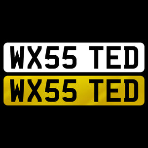 WX55 TED
