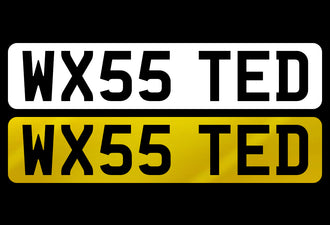 WX55 TED
