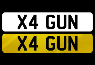 X4 GUN