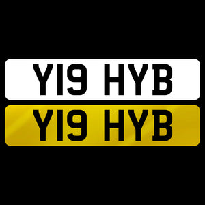 Y19 HYB
