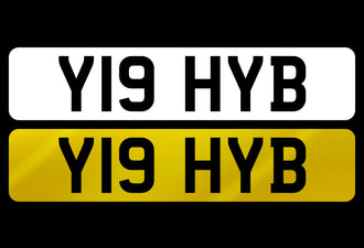 Y19 HYB