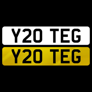 Y20 TEG