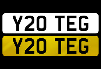 Y20 TEG