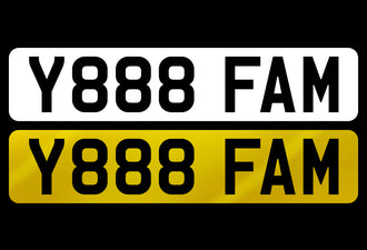 Y888 FAM