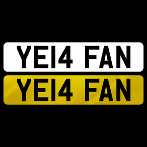 YE14 FAN